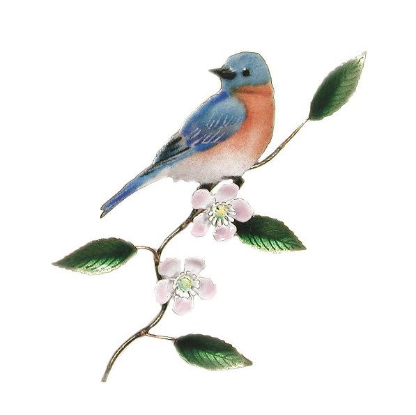 Bluebird on Apple Blossom