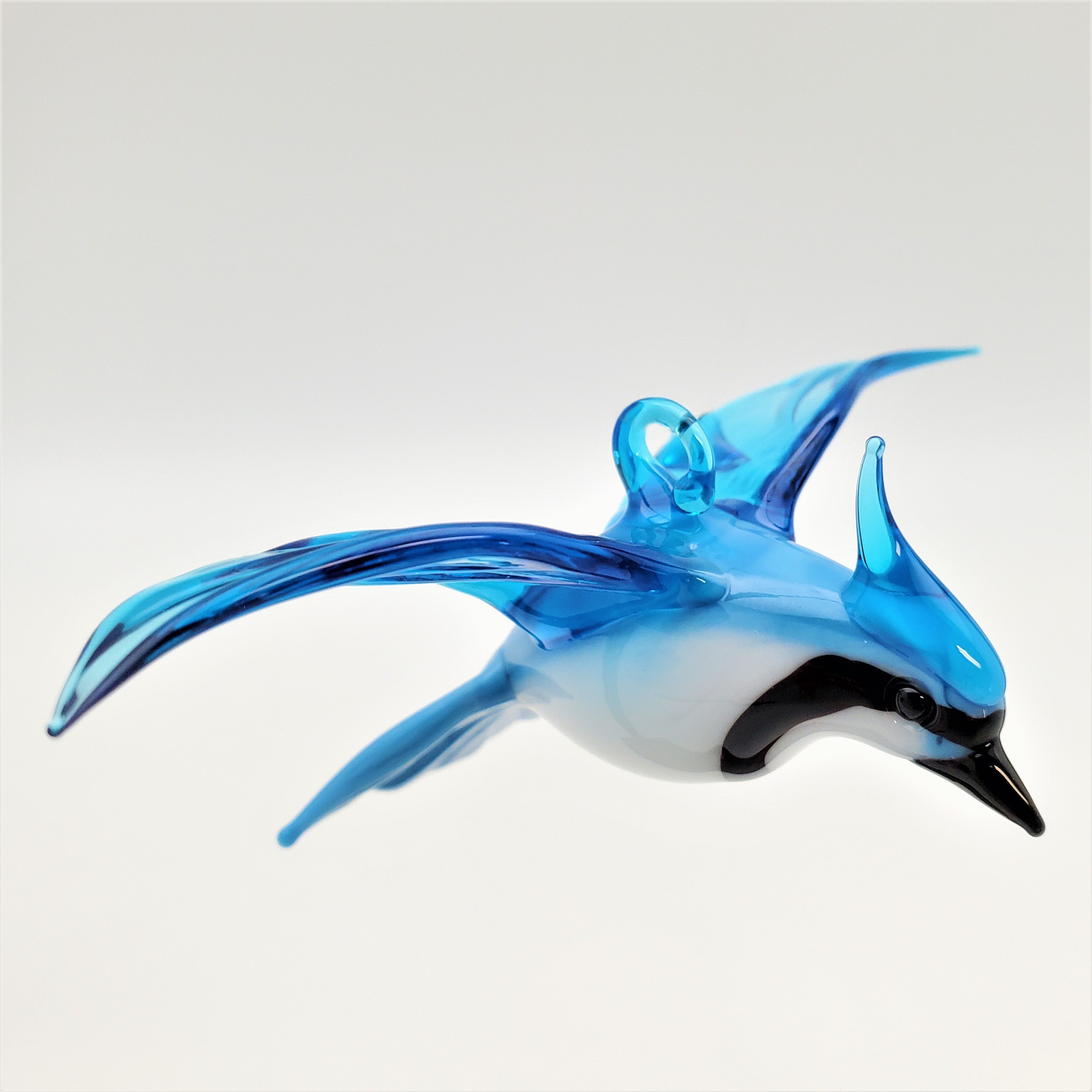 Blue Jay - Small