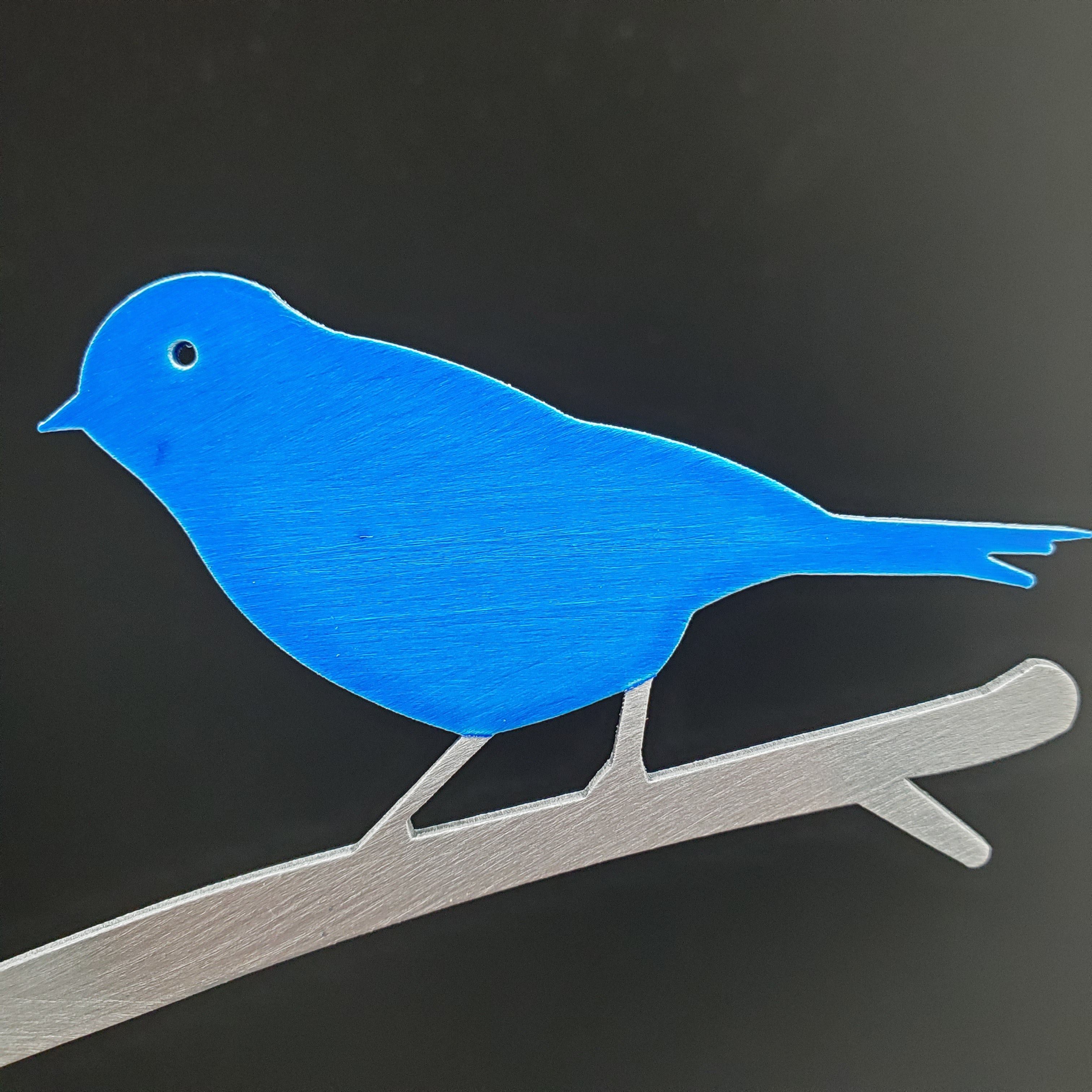 Bird & Branches - Blue Birds
