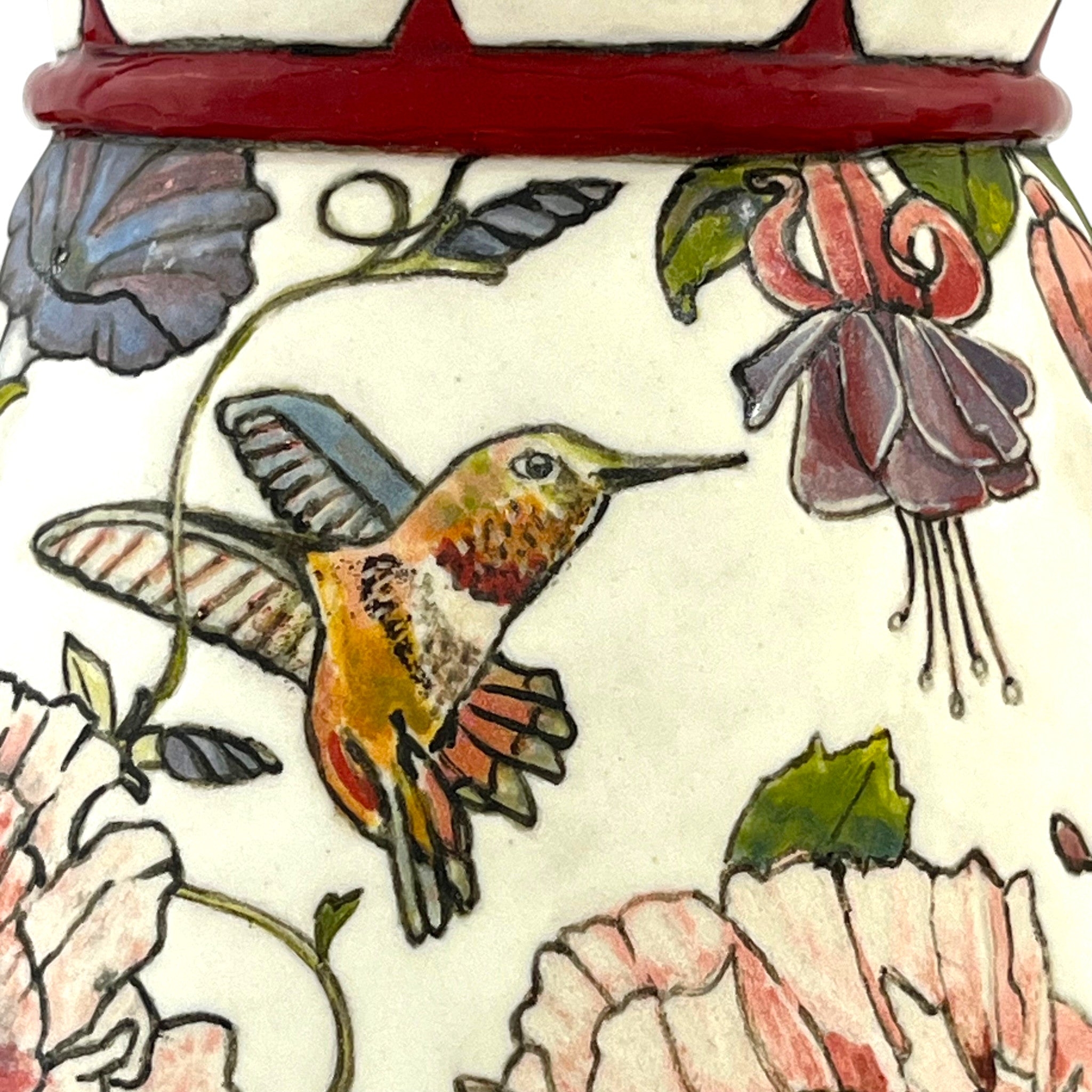Ann Ruel - Birdwatching for Hummingbirds