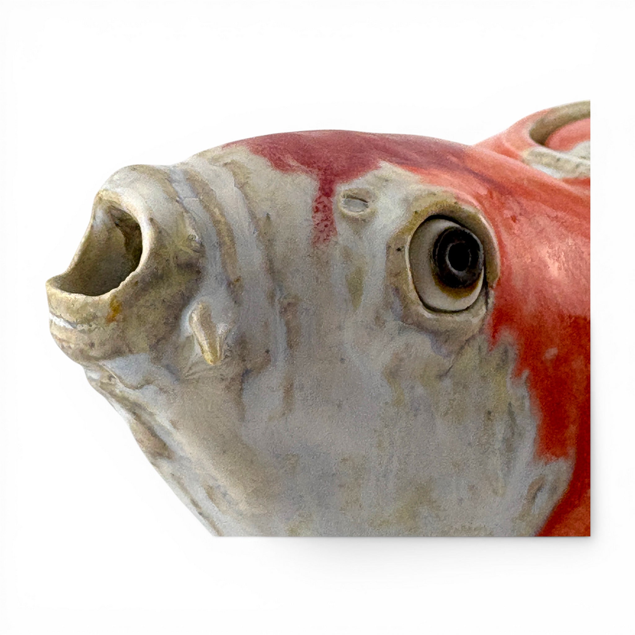 Alan Bennett - Koi Teapot