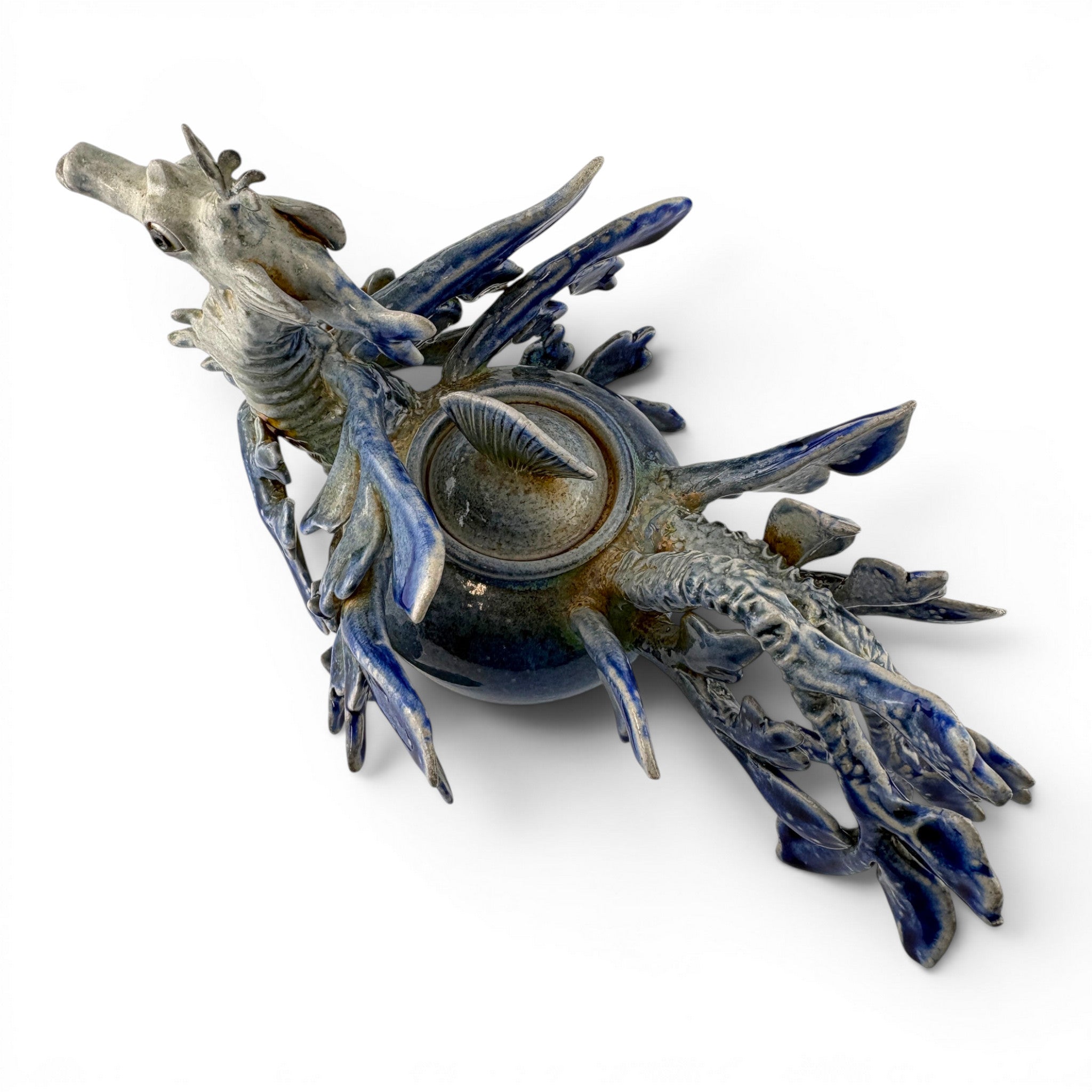 Alan Bennett - Leafy Seadragon