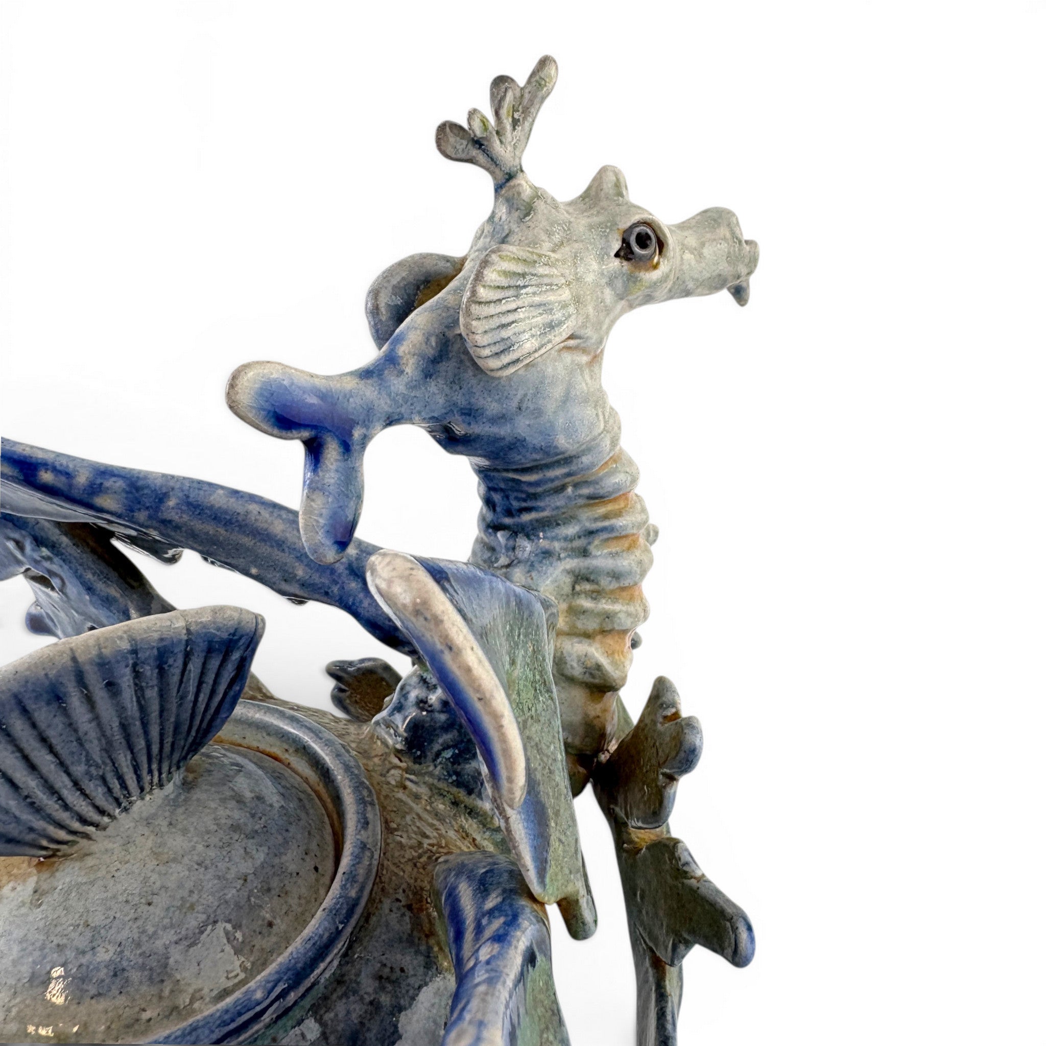 Alan Bennett - Leafy Seadragon