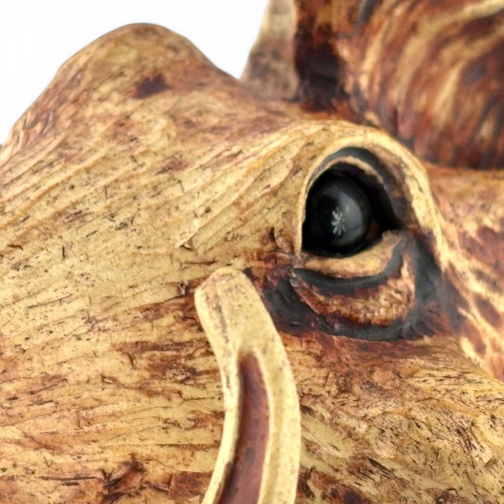 Christy Crews-Dunn - Warthog Teapot