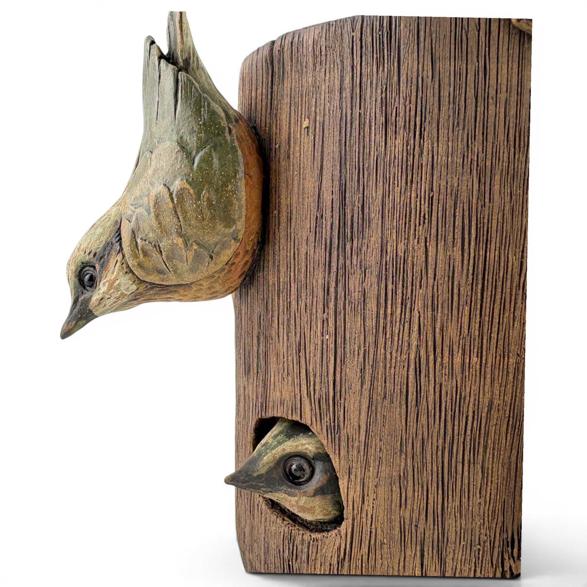 Shane Porter - Nuthatches