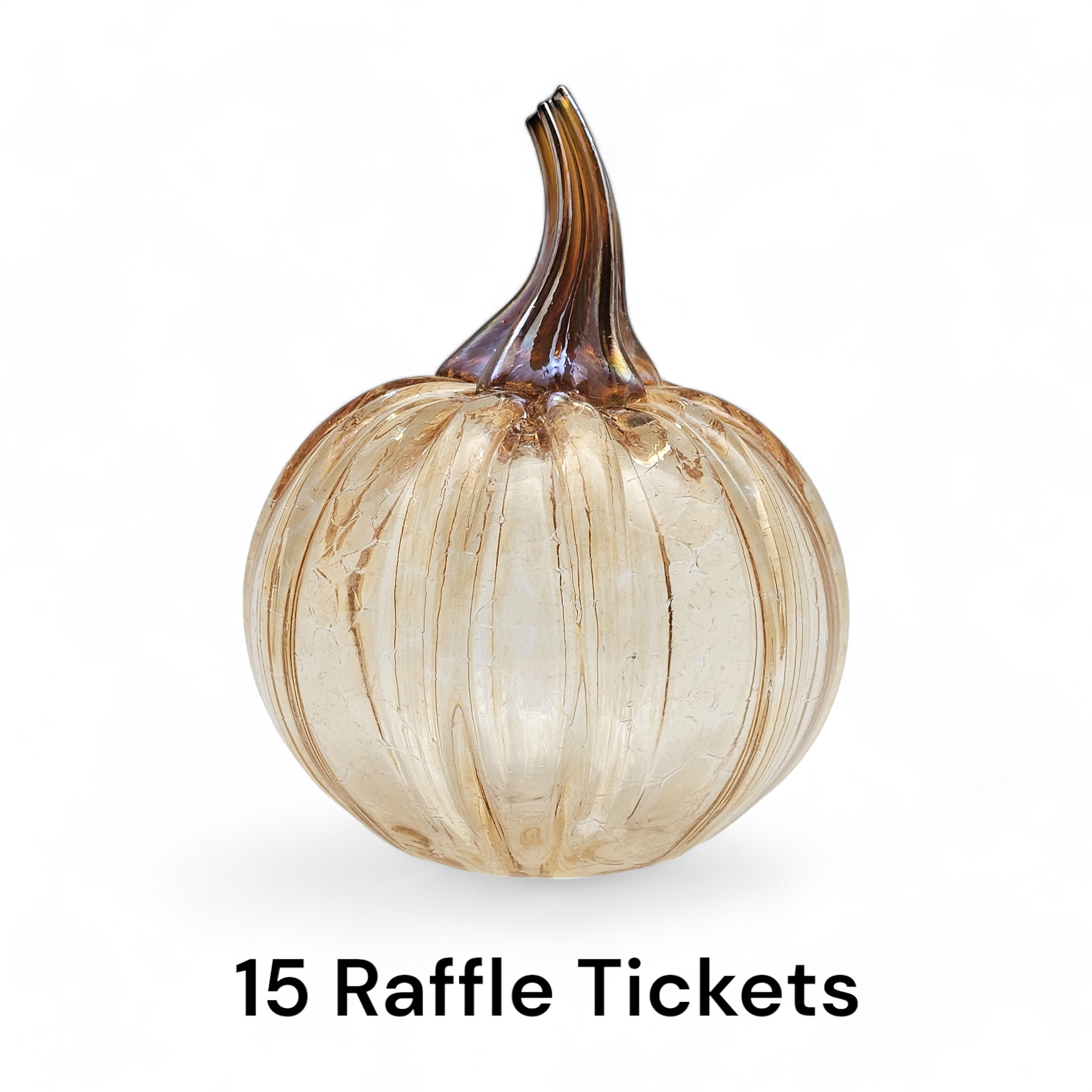 2024 Pumpkin Raffle Ticket to Benefit CERF+