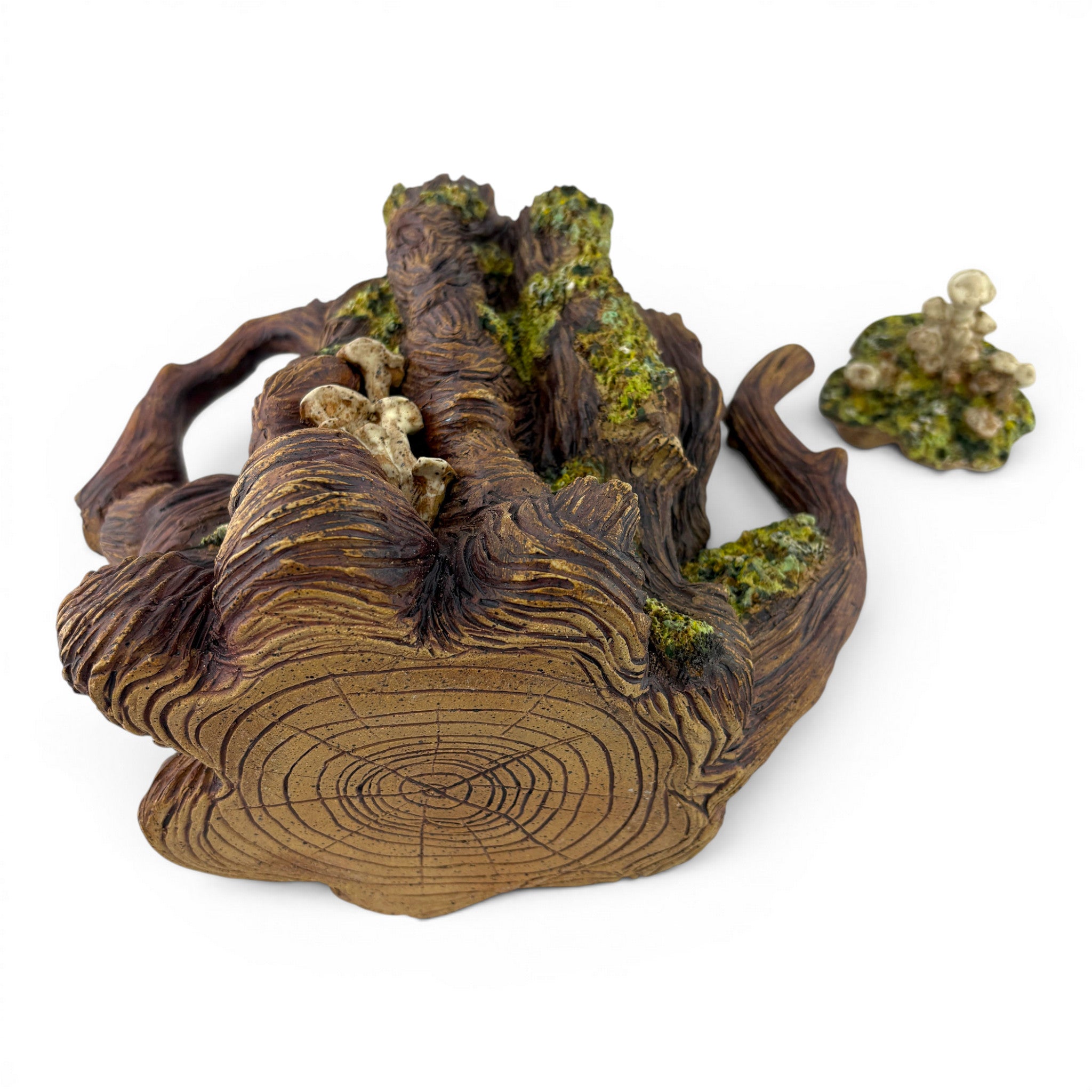 Anna Schroeder - Treepot
