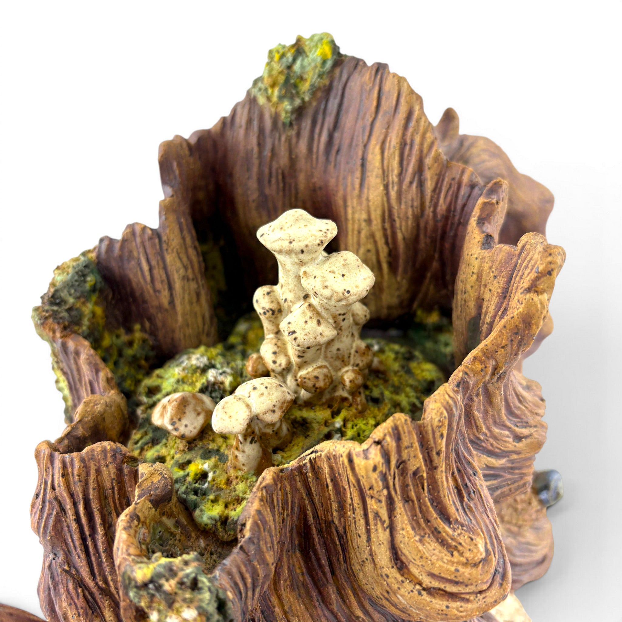 Anna Schroeder - Treepot