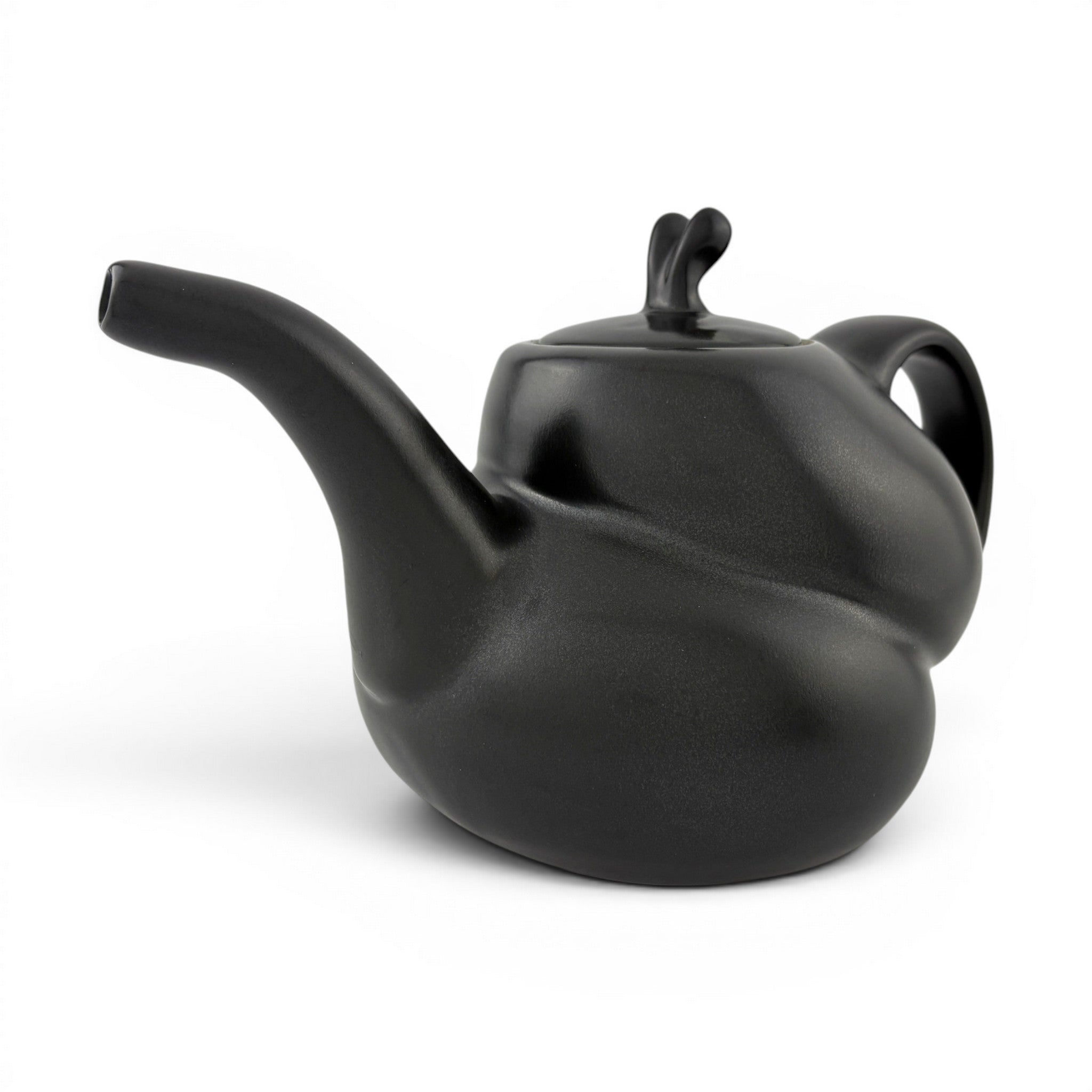 Eric Rempe - Slipper Orchid Teapot