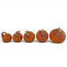 Five small decorative pumpkins arranged in a row on a plain white background. The pumpkins are orange with mottled purple and brown marbling, and each has a metallic silver stem.