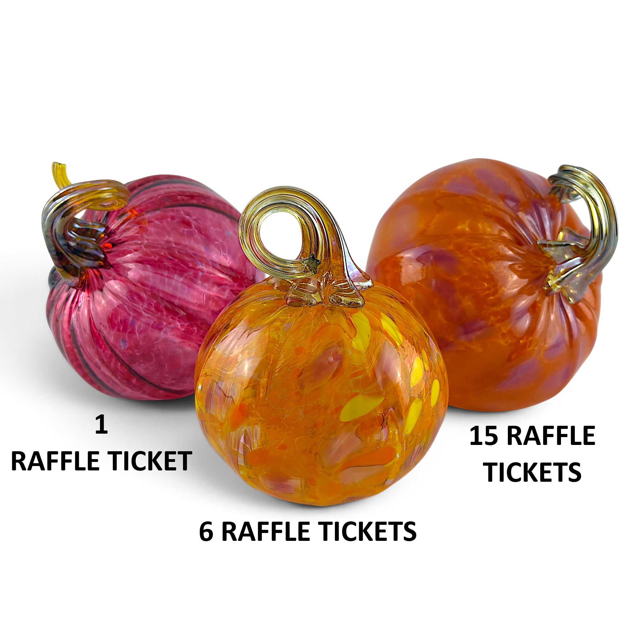 2026 Pumpkin Raffle Ticket to Benefit CERF+