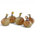 Five decorative glass pumpkins with amber and orange speckled bodies and metallic stems, arranged on a white studio background.