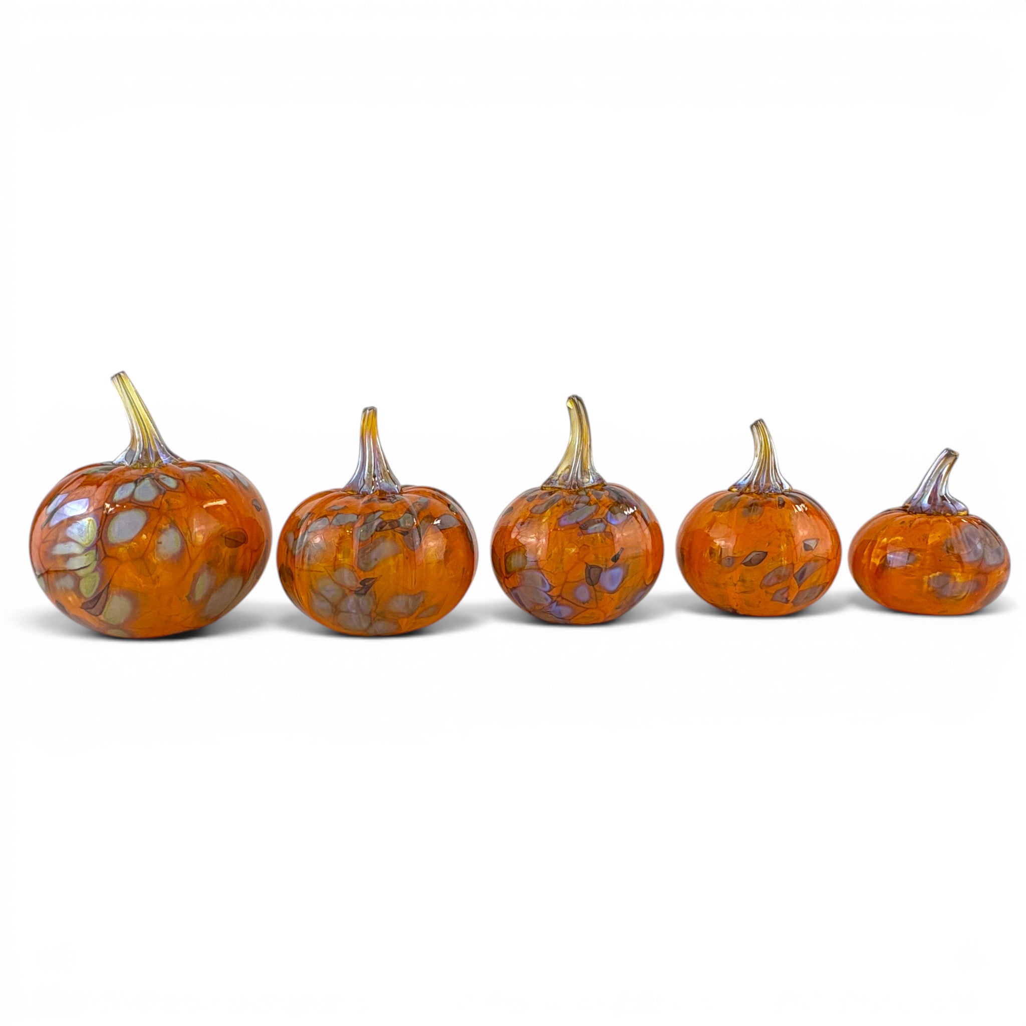 Cornucopia Pumpkin