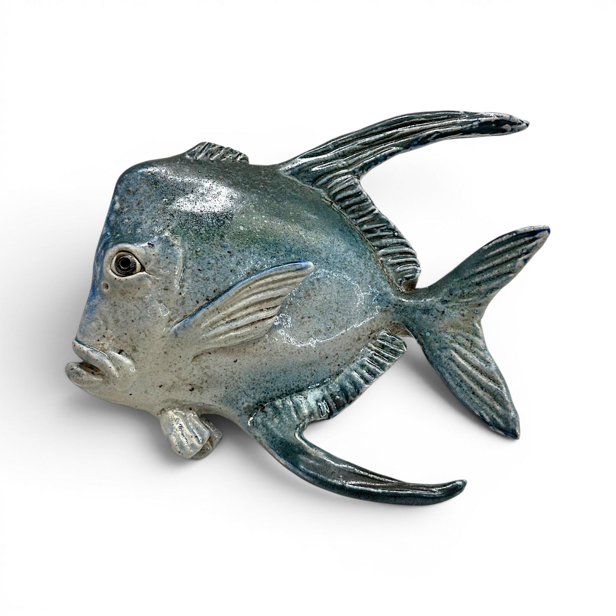 Lookdown Fish