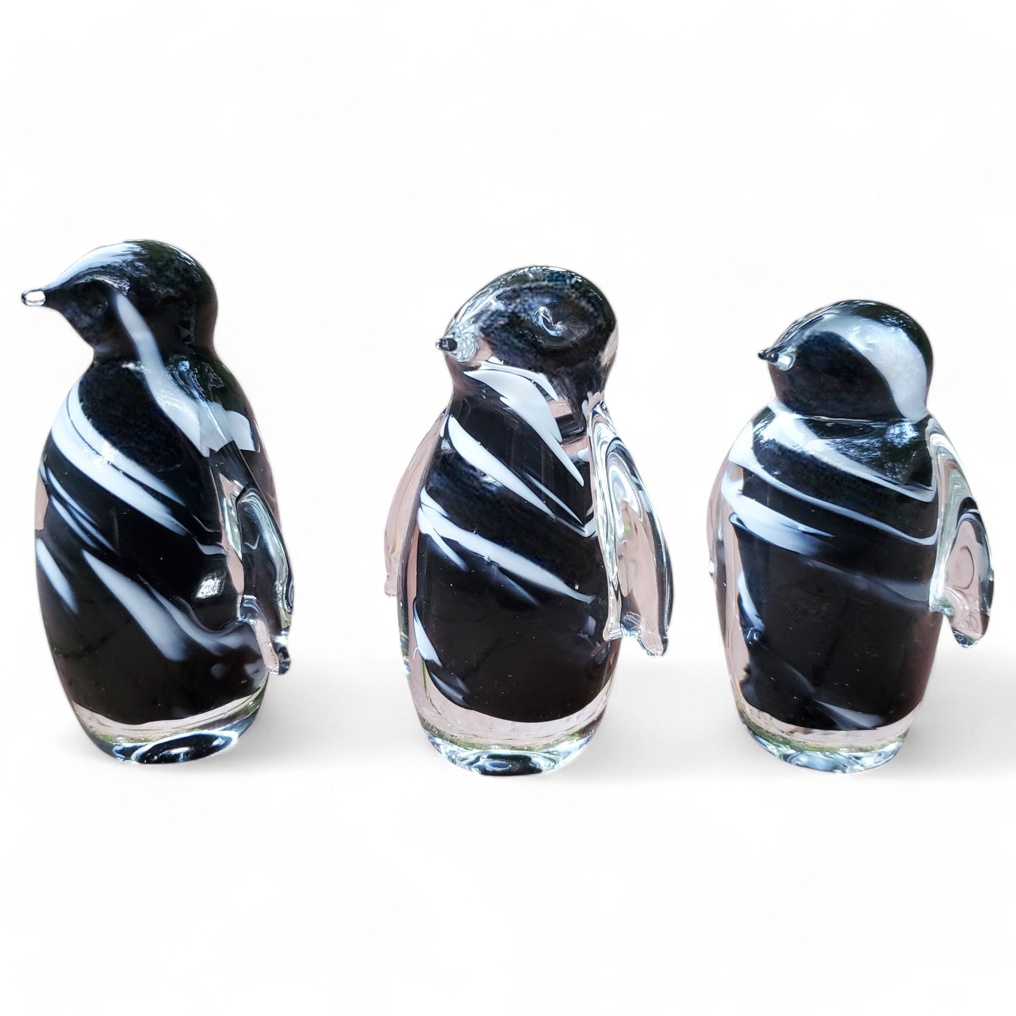 Glass Penguin