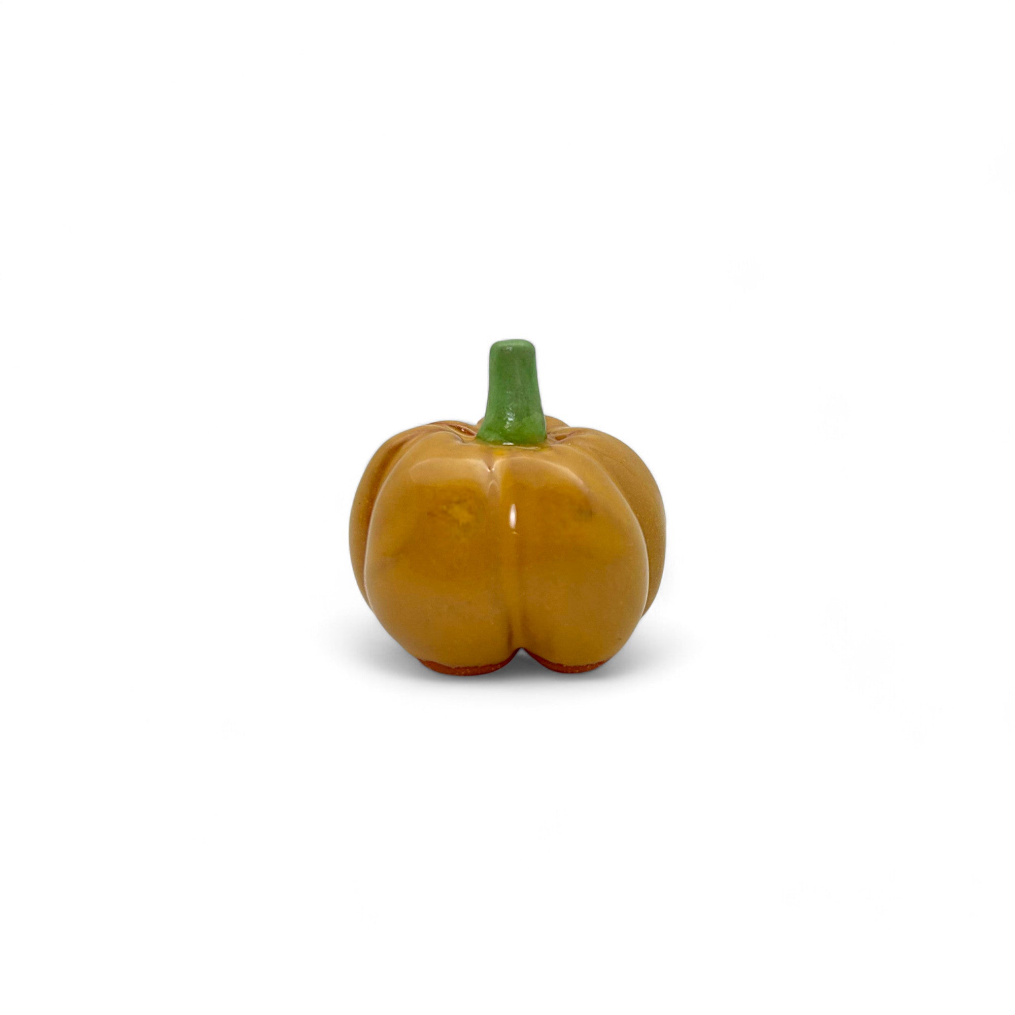 Miniature Pumpkin