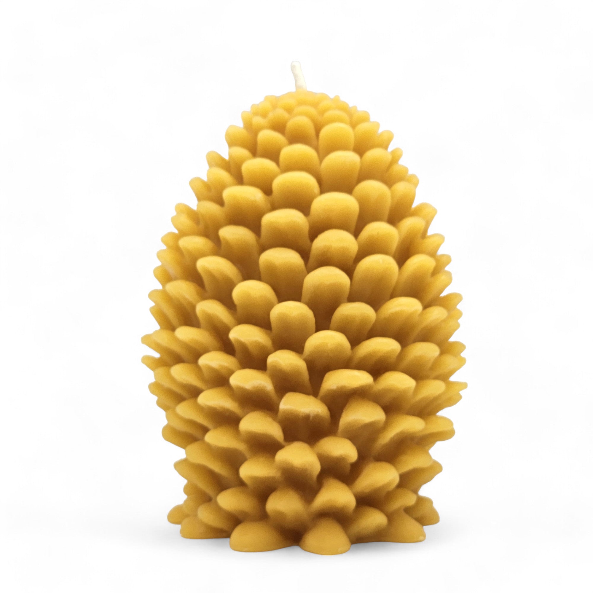 Pine Cone Candle