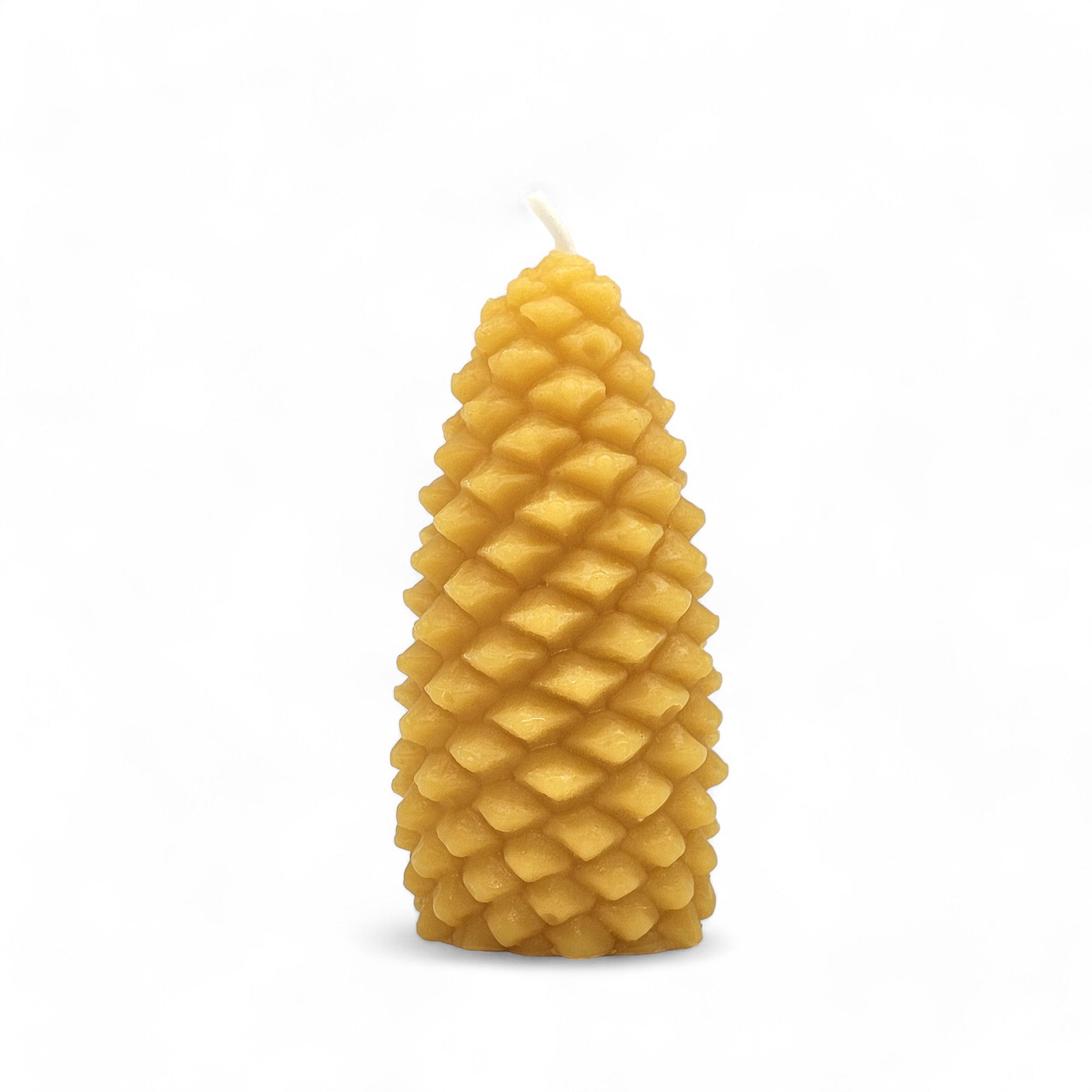 Pine Cone Candle