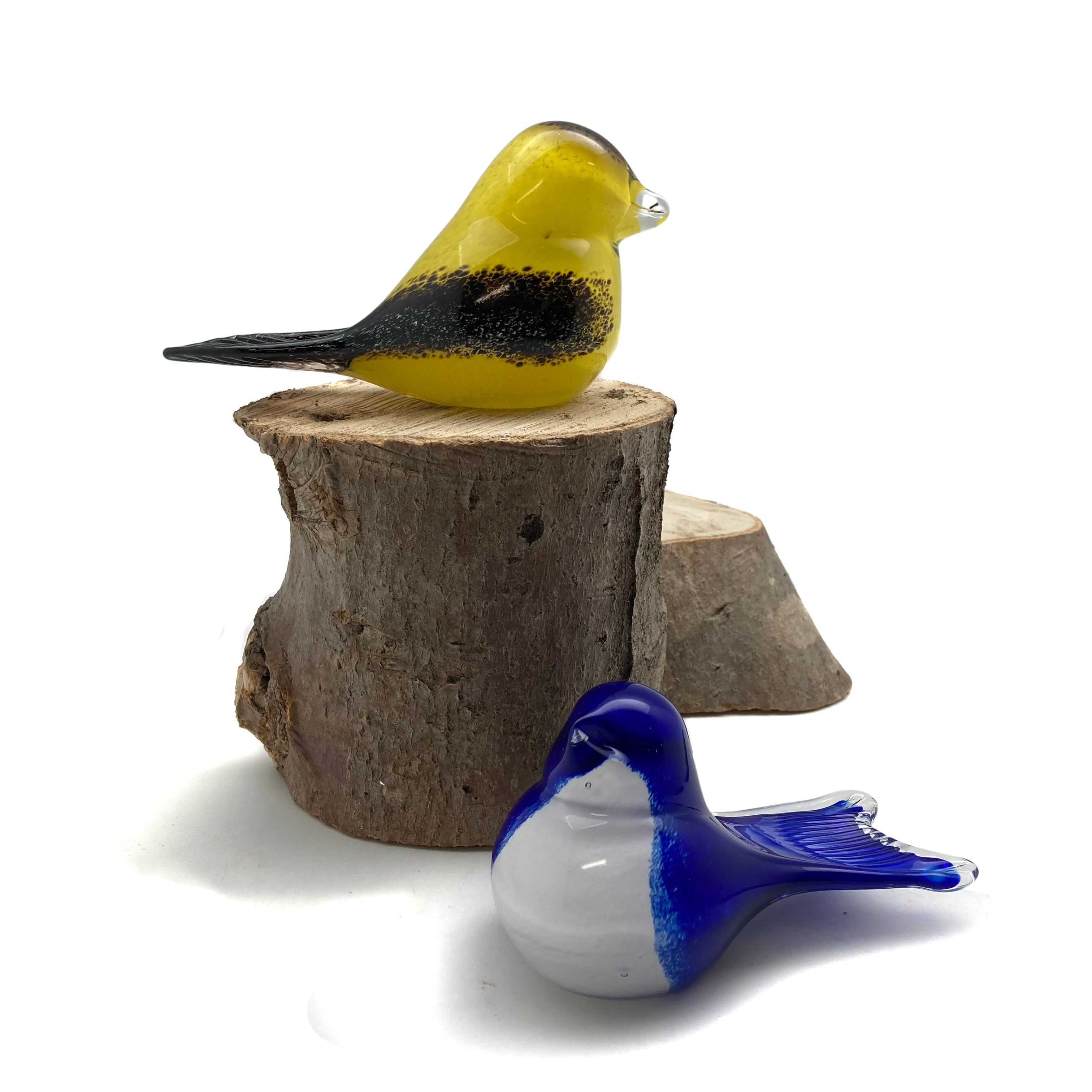 Joyful Bluebird & Dreamy Goldfinch