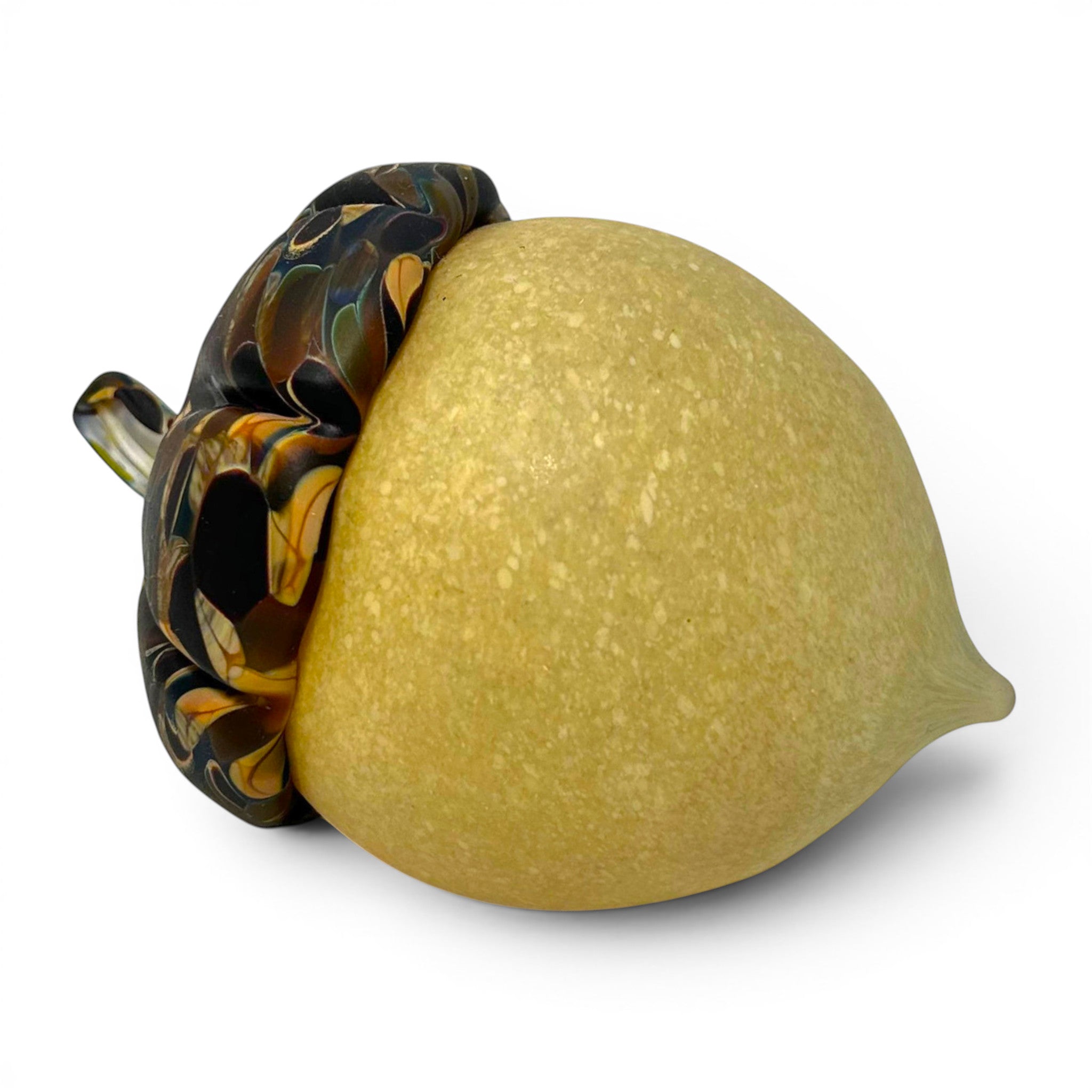 Honey-Gold Acorn