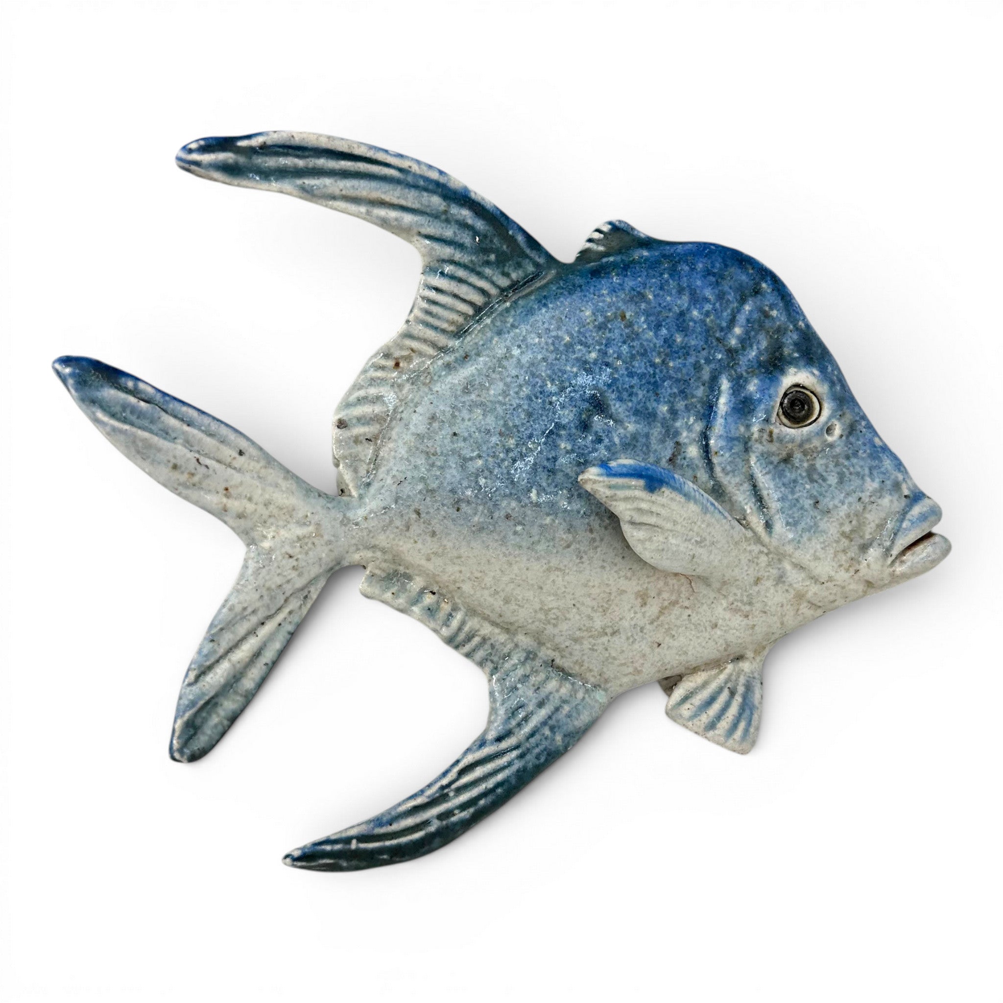 Lookdown Fish
