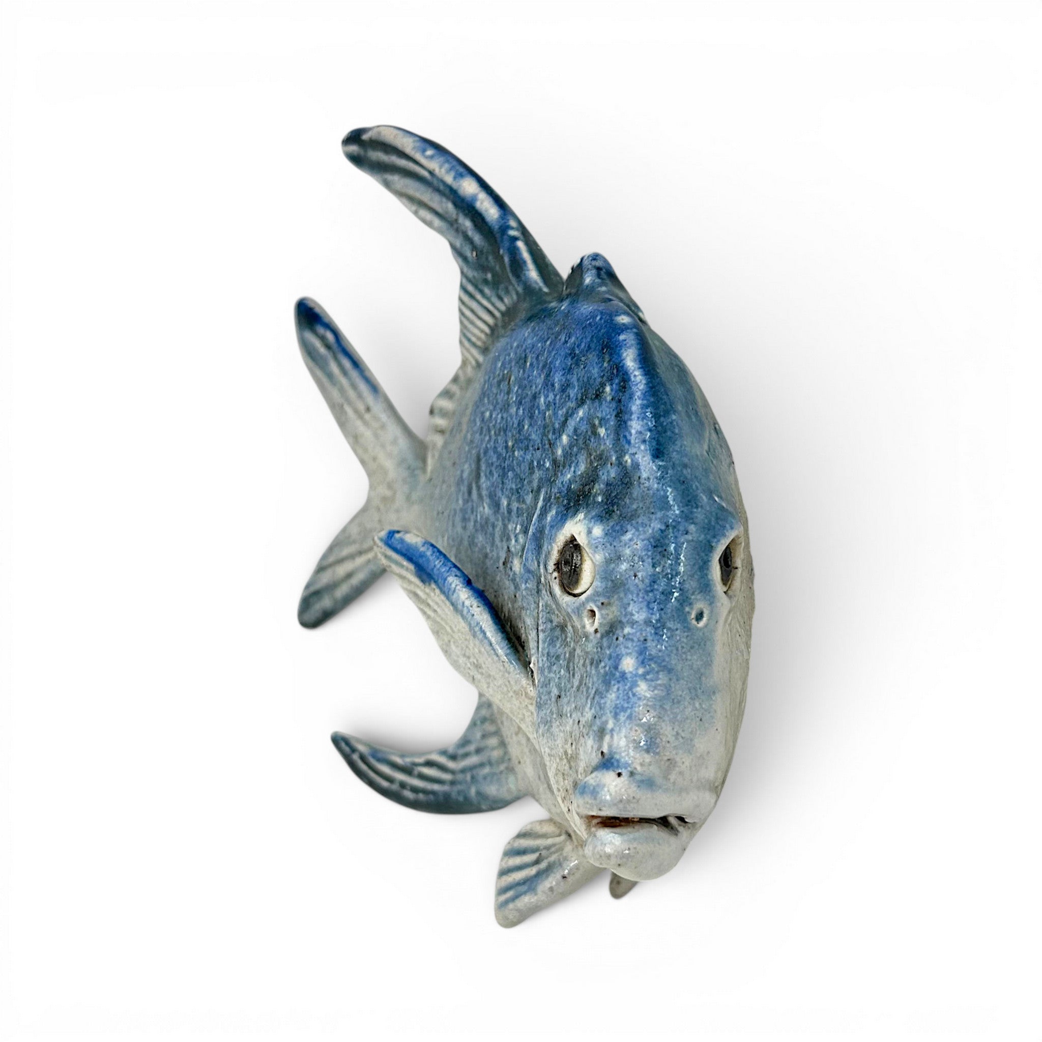 Lookdown Fish