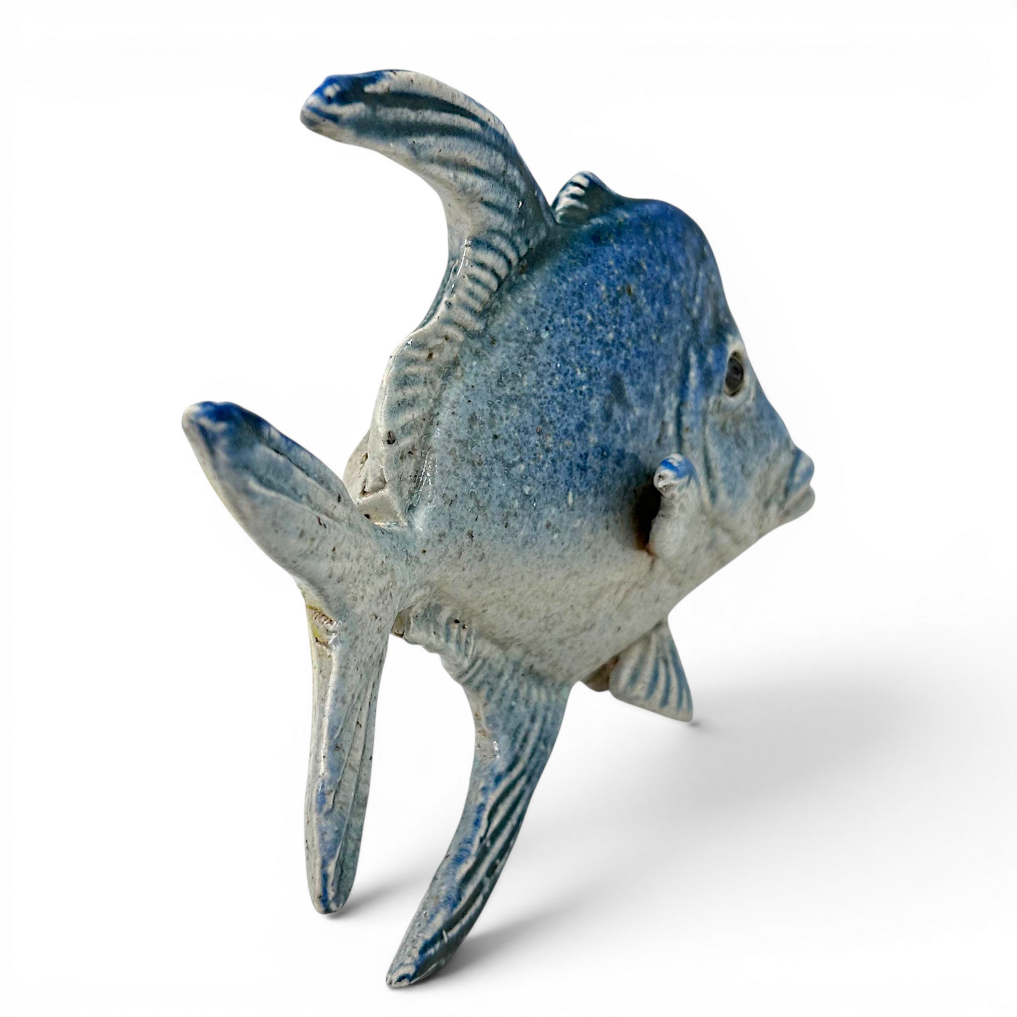 Lookdown Fish