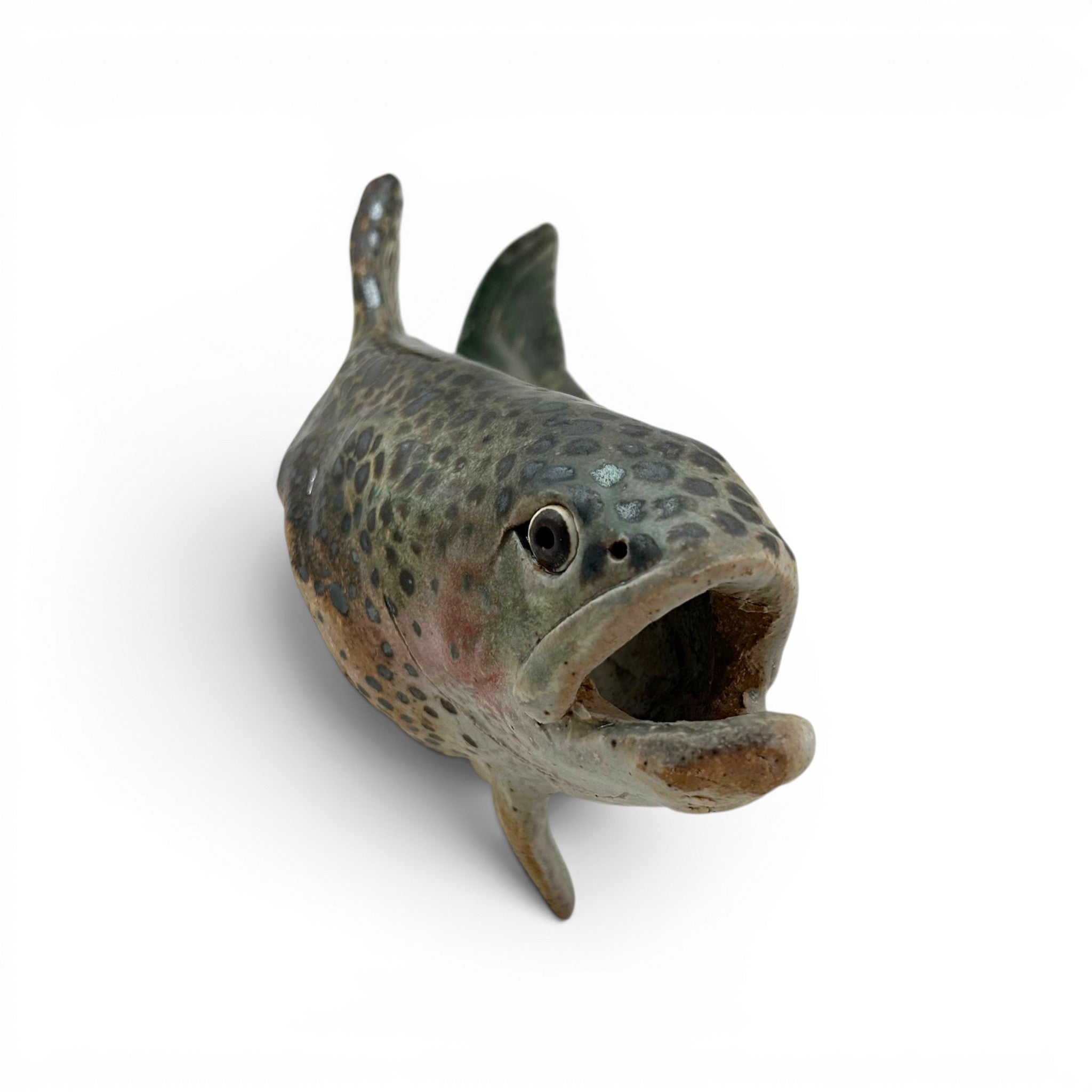 Rainbow Trout