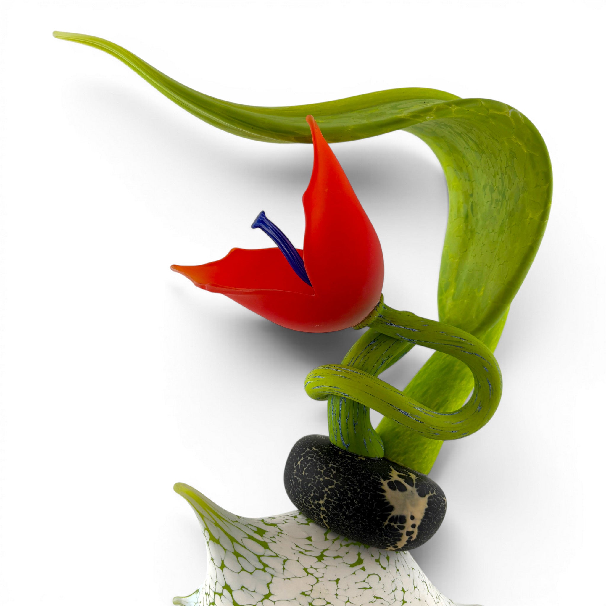 Nolan Prohaska - Scarlet Snapdragon