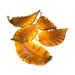 Five amber-colored translucent leaf-shaped glass beads arranged on a plain white background.
