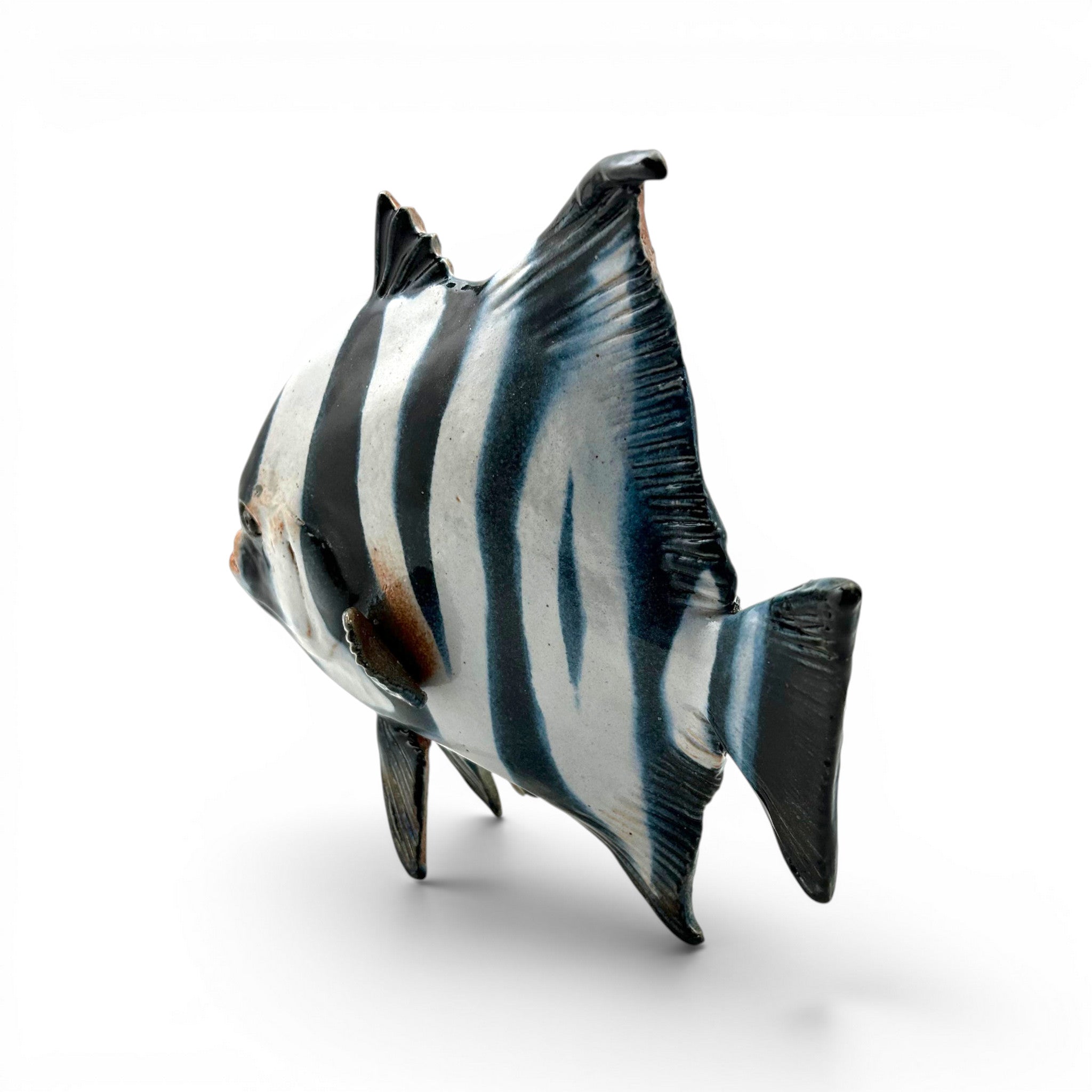 Spadefish