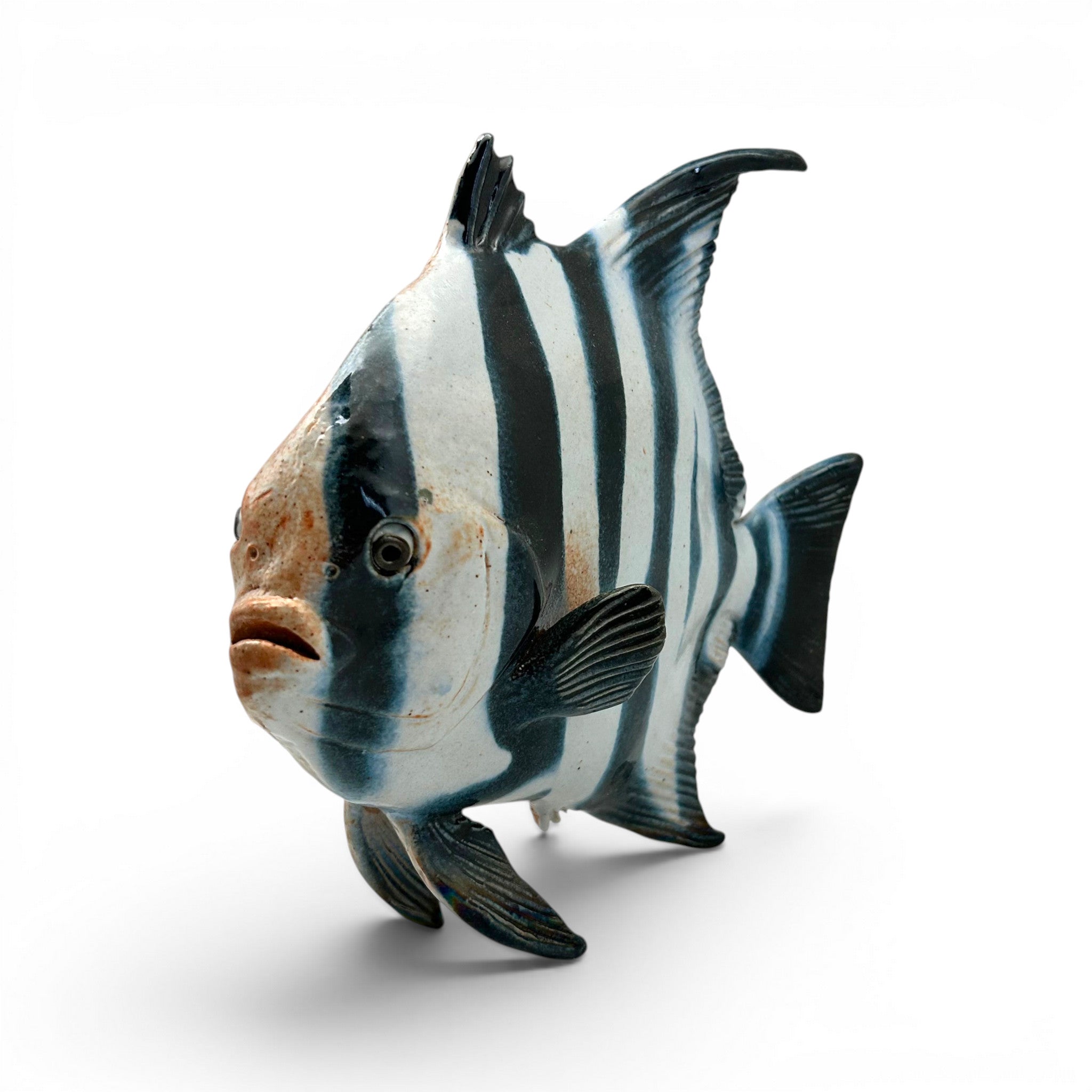 Spadefish