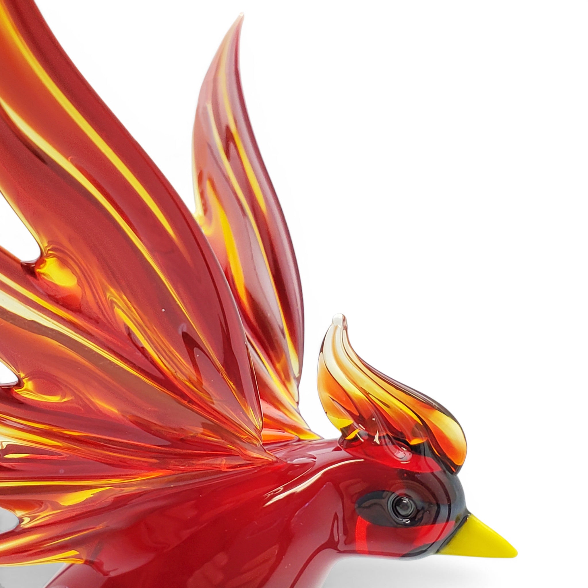 Cardinal- Large