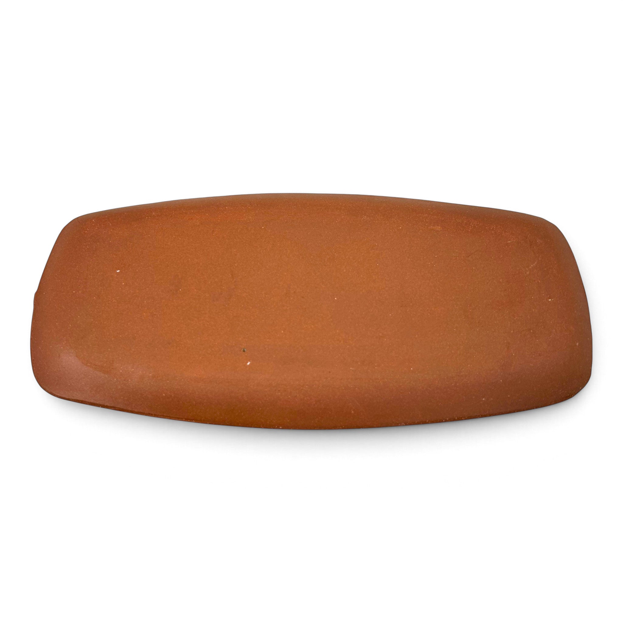 Diplodocus Rectangular Plate
