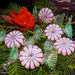 festive group of handcrafted peppermint candy holiday ornaments