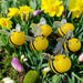 group of handcrafted glass bees nestled in crocus blooms make us think of spring