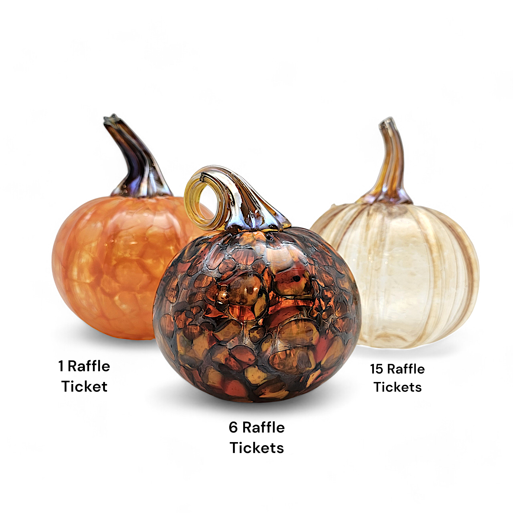 2024 Pumpkin Raffle Ticket to Benefit CERF+