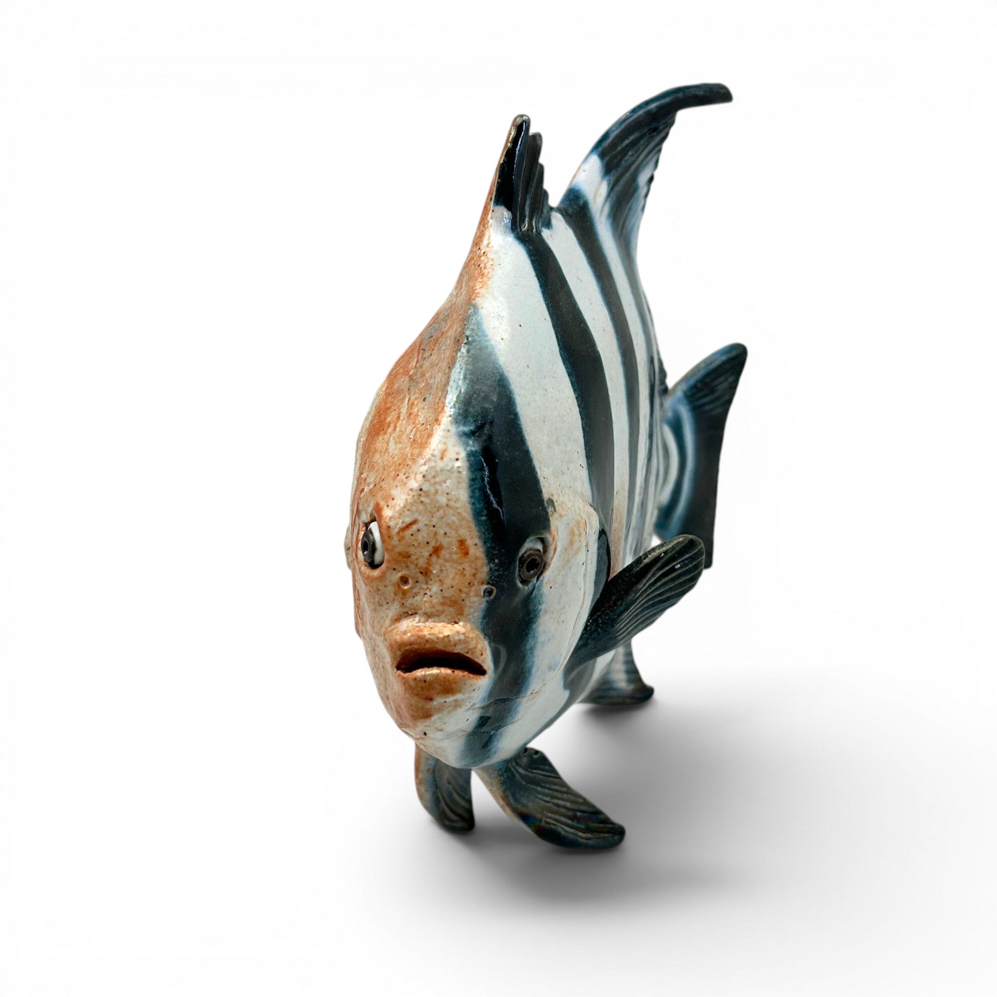 Spadefish
