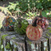 Four decorative glass pumpkins with textured, marbled patterns in green, red, and blue, displayed on a mossy tree stump in an outdoor garden setting.