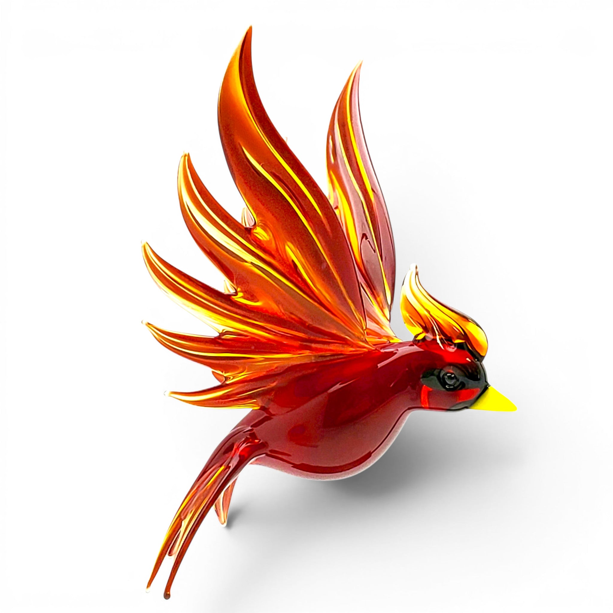 Cardinal- Large