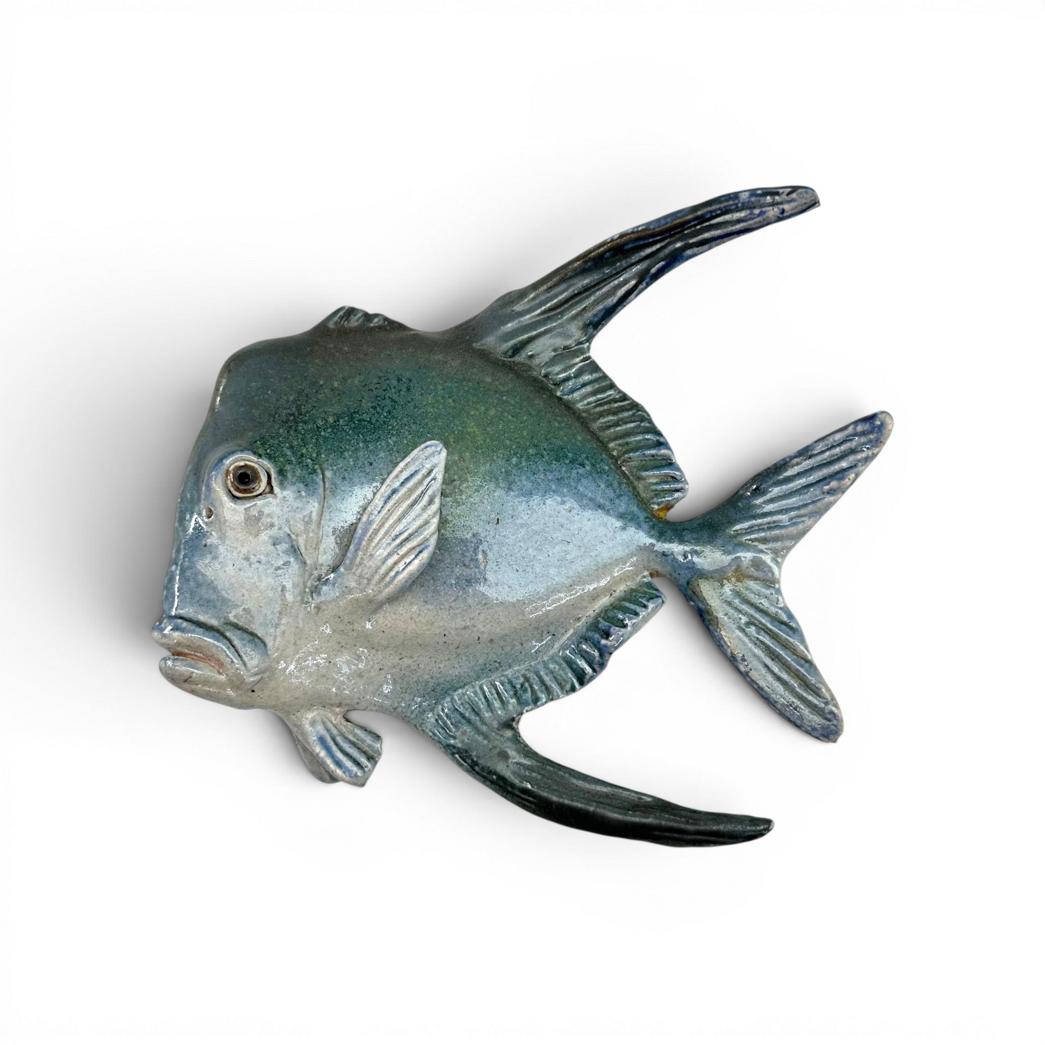 Lookdown Fish