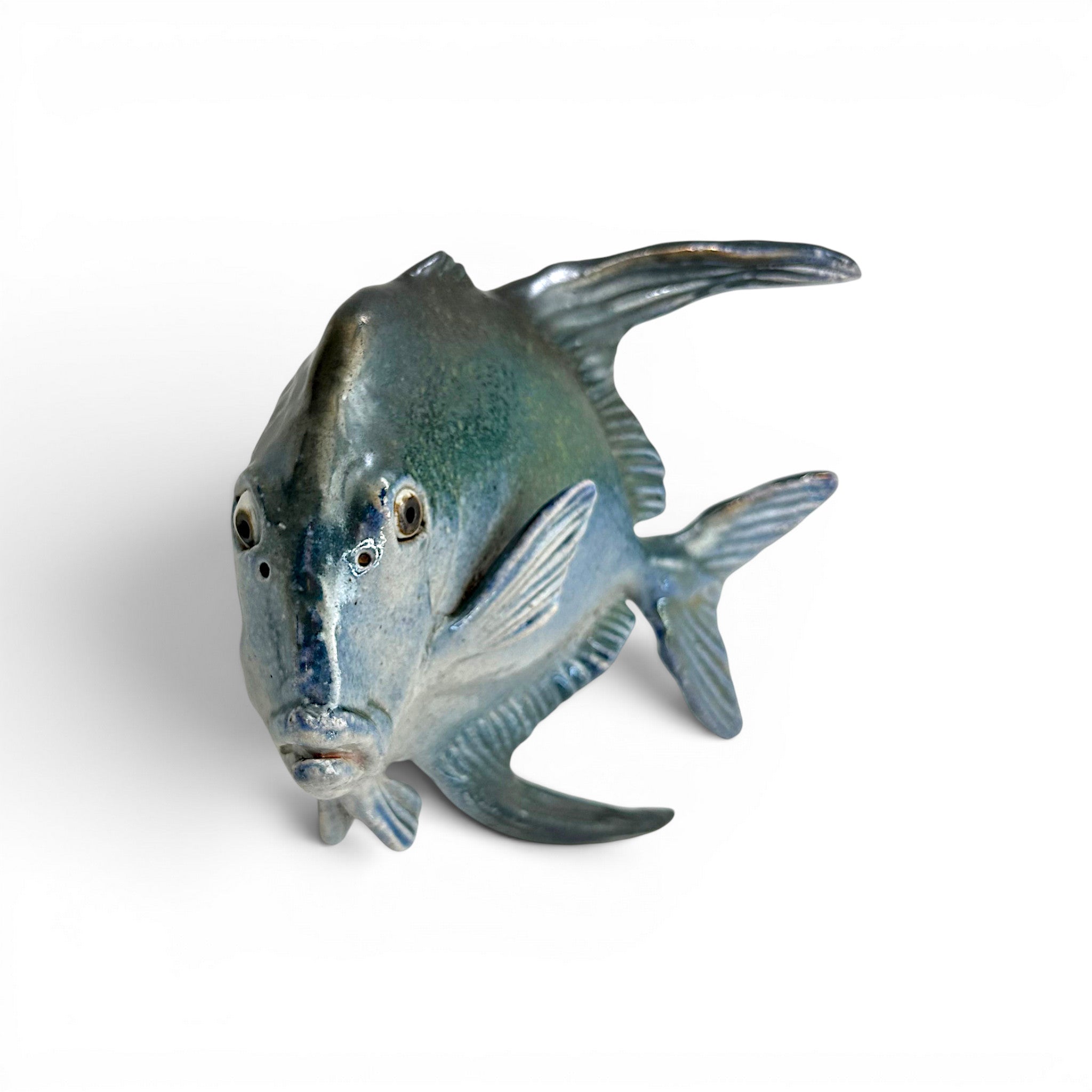 Lookdown Fish