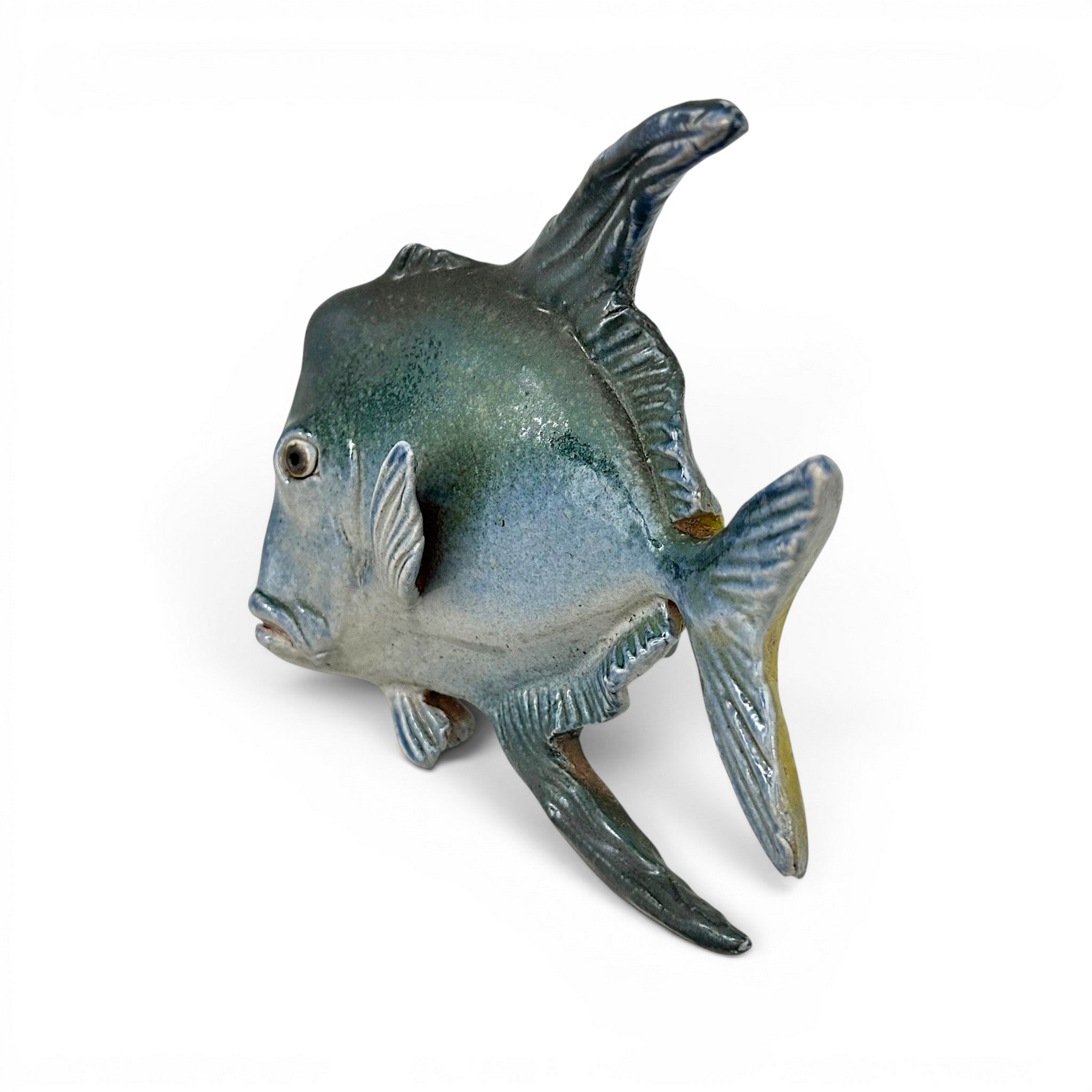 Lookdown Fish