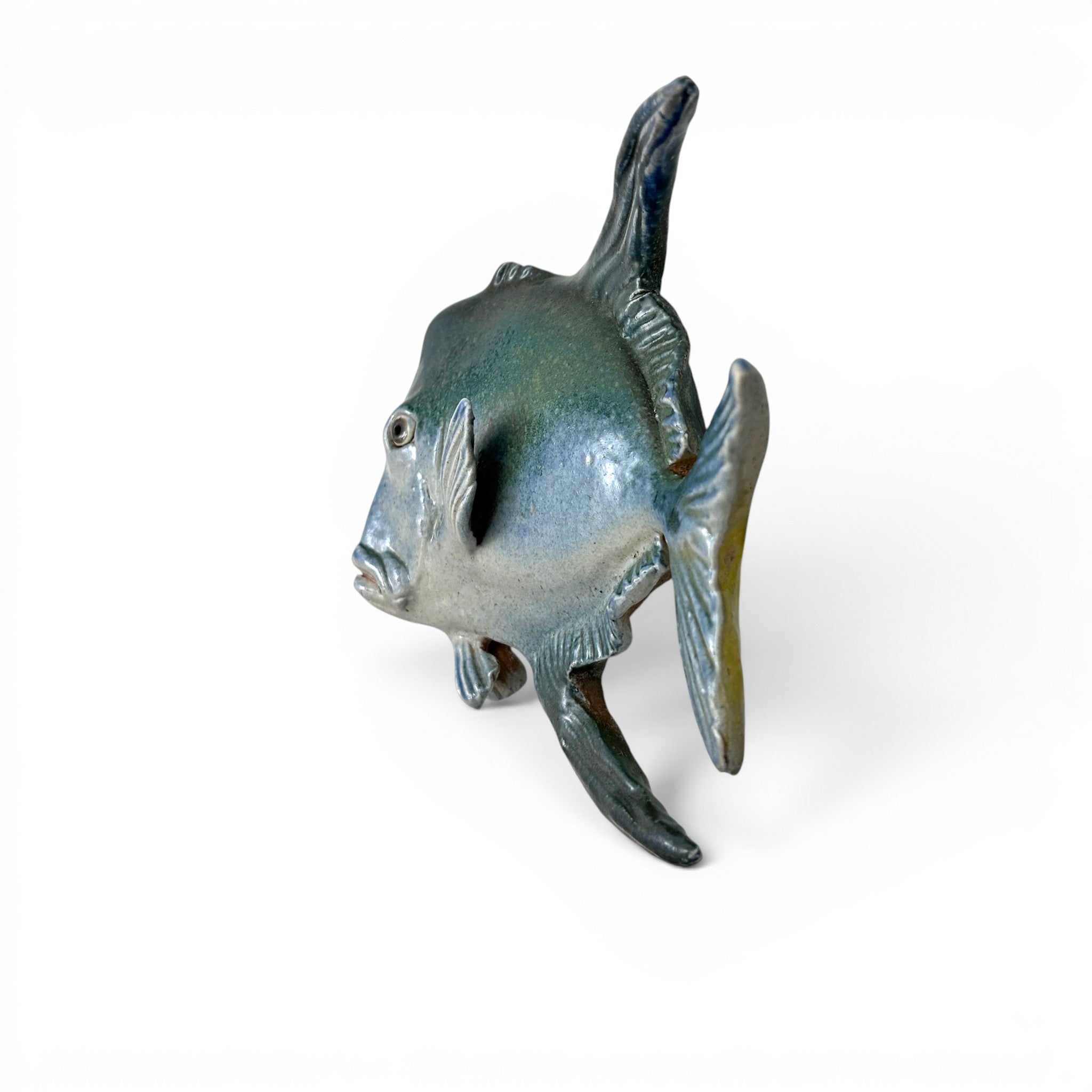 Lookdown Fish