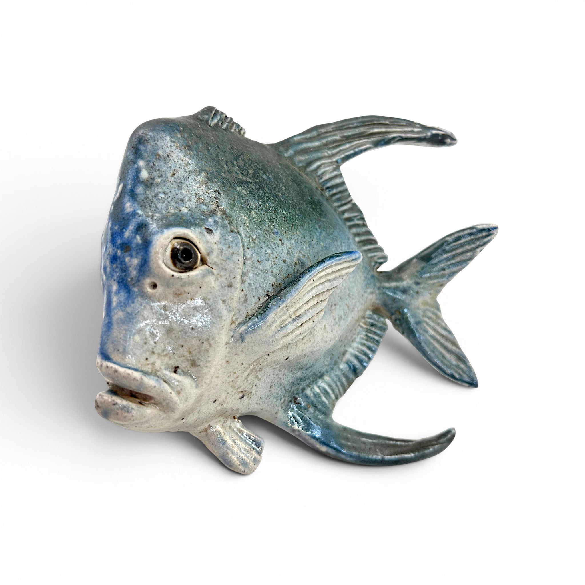 Lookdown Fish