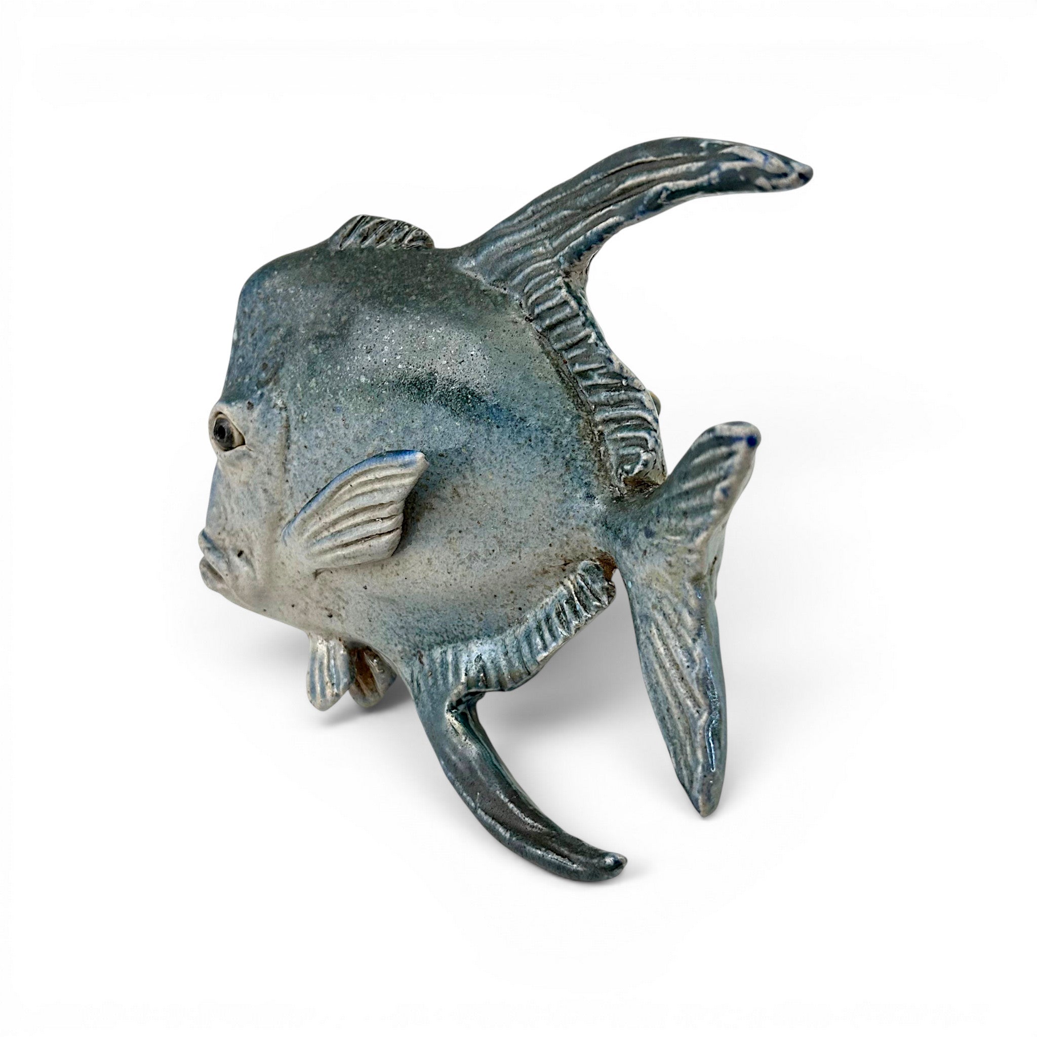 Lookdown Fish