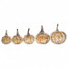 Set of five decorative pumpkins with a mottled finish on a white background