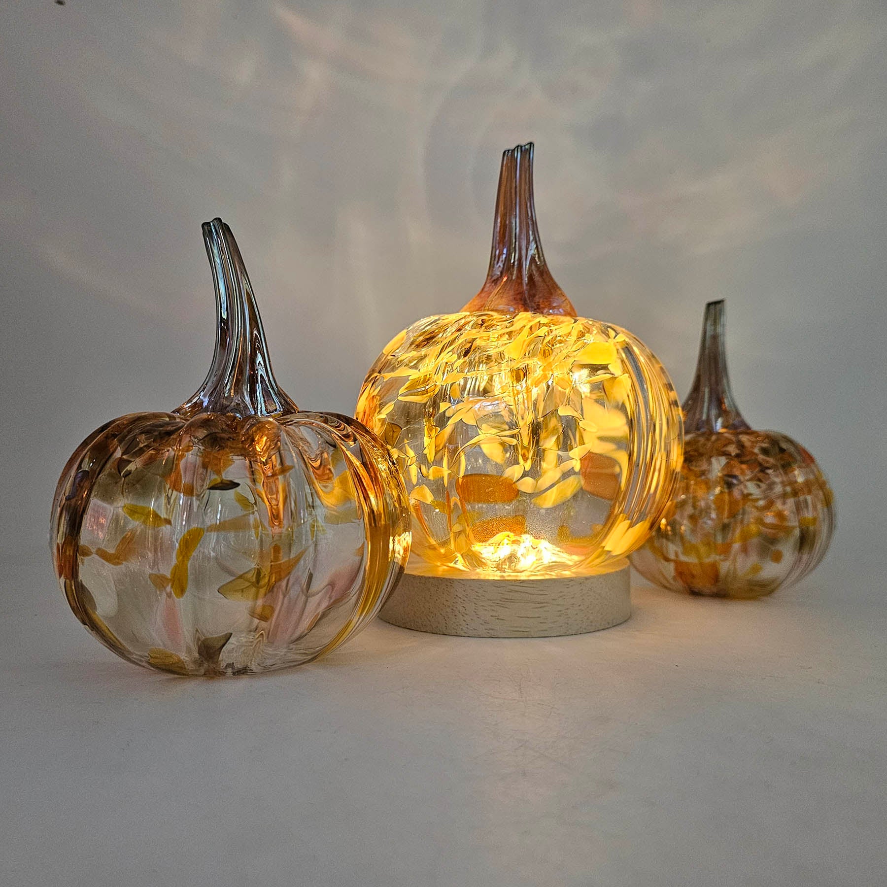 light under a maple grove pumpkin gives a warm glow