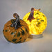 Two decorative glass pumpkins, one glowing, on a plain background