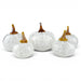 Five decorative glass pumpkins with textured white bodies and amber-brown stems, arranged on a clean white background.
